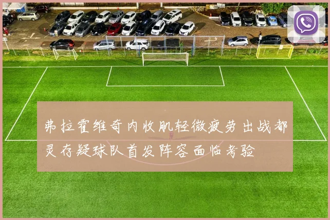 弗拉霍维奇内收肌轻微疲劳出战都灵存疑球队首发阵容面临考验