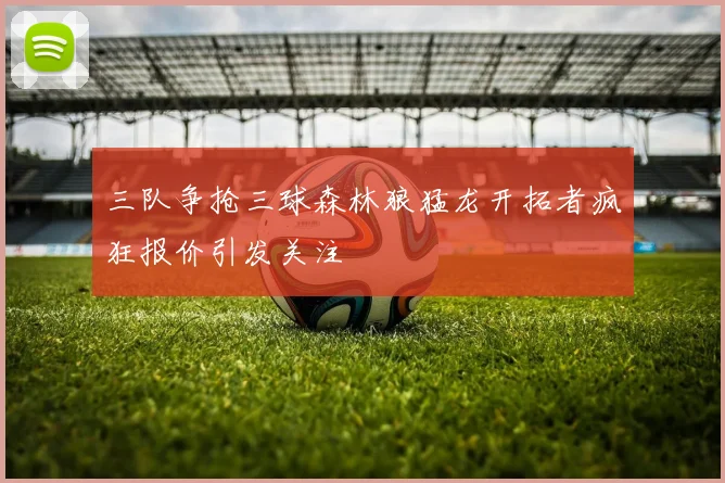 三队争抢三球森林狼猛龙开拓者疯狂报价引发关注